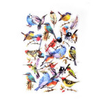 Dekorativní samolepky fóliové - ptáčci, 40 ks