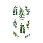 Dekorativní samolepky - Kapradí a eukalyptus,38 ks