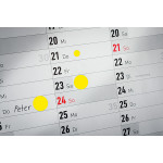 Avery Zweckform etikety 19mm, žluté, 250 etiket, značkovací, 3856, pro ruční popis