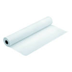 Epson 1118/25/Presentation Matte Paper Roll, matný, 44", C13S041220, 172 g/m2, papír, 1118mmx25m, bílý, pro inkoustové tiskárny, r