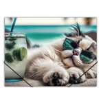 Desky s gumičkou "Chillout cat", A4, 15 mm, PP, PANTA PLAST