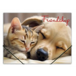 Desky s gumičkou "Friendship", A4, 15 mm, PP,  PANTA PLAST