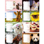 Školní etikety "Dívky", 24 ks, PANTA PLAST