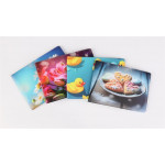 Pouzdro na průkazy, dívčí, 6 listů, horizontální, PVC