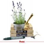 Křídový popisovač "SMW26", bílá, 2 mm, zkosený hrot, PENTEL SMW26-WO