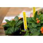 Brother originální páska do tiskárny štítků, Brother, TZE-631S, černý tisk/žlutý podklad, laminovaná, 4m, 12mm