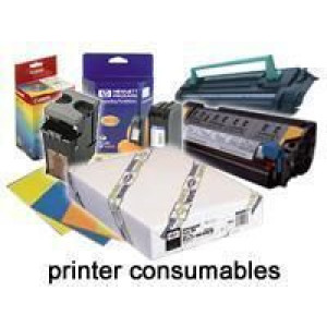 EPSON paper roll - 260g/m2 - 44" x 30,5m - photo premium glossy