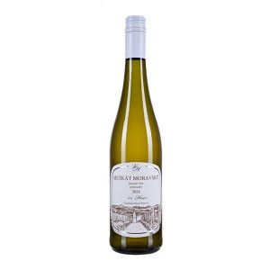 Bílé víno Muškát moravský Vin.Hnanice  - 0,75l,1ks