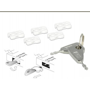 Delock zámek USB portu pro USB A samici