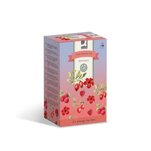 Ovocný čaj Q-Connect - Fruit infusion, 20x 1,5 g