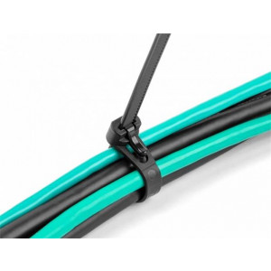 Delock Kabelové stahovací pásky pro opakované použití tepelně odolné D 300 x Š 7,6 mm 100 kusů černé 