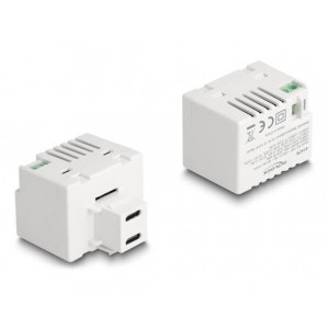 Delock Modul Keystone se dvěma nabíjecími porty USB Type-C™, PD, 20 W, bílý