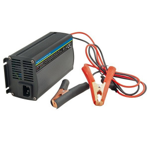 Avacom Nabíječka WILSTAR 12,8V/20A pro baterie LiFePO4