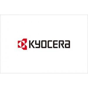 Kyocera UG-51: TPM (Trusted Platform Module)