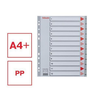 Barevné rejstříky, šedá, A4 Maxi, plast, 1-12, ESSELTE