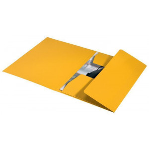 Spisové desky "Recycle", žlutá, recyklovaný karton, A4, LEITZ 39060015