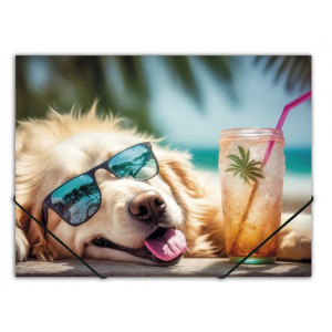 Desky s gumičkou "Chillout dog", A4, 15 mm, PP, PANTA PLAST