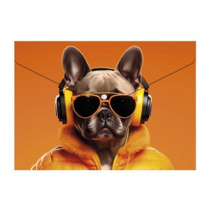 Spisové desky s drukem "Cool dog", A4, PP, 180 micron, PANTA PLAST 0410-0062-60