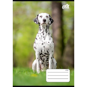 Sešit "B&W dogs", 27-32, mix motivů, A5, čtverečkovaný, 32 listů, COOL BY VICTORIA