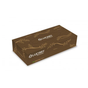 Odličovací ubrousky "Eco Natural", hnědá, 2-vrstvé, 100 ks, LUCART