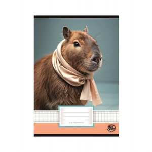 Sešit "Capybara", 27-32, A5, čtverečkovaný, 32 listů, OPTISCHOOL 27I2732-022
