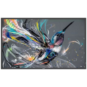 PHILIPS displej 49,5" 50BDL3511Q / Q-Line/ VA/ 4K UHD/ 60Hz/ 8ms/ 4000:1/ 18/7/ HDMI, DVI, VGA, RS232, RJ45, USB