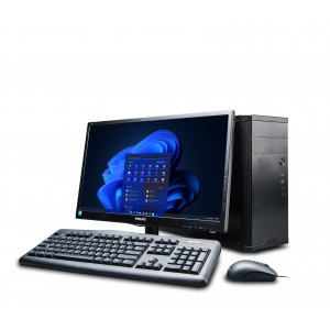 Premio Professional A450 (AM4)
