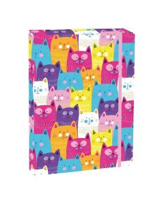 Box na sešity A5 - s gumou, Meow