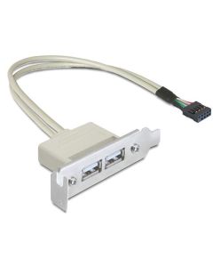 Delock záslepka do slotu USB 2.0 low profile 2 porty