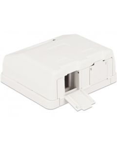Delock Keystone Surface Mounted Box 2 Port with dust cover