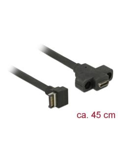 Delock Kabel USB 3.1 Gen 2 key A 20 pin samec > USB 3.1 Gen 2 USB Type-C™ samice montáž na panel 45 cm