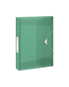 Esselte box na spisy Colour'Ice, zelený