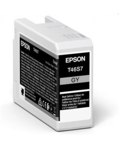 EPSON cartridge T46S7 gray (25ml)