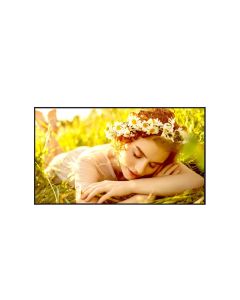 43" LG LED 43UL5 - UHD,500cd, WebOS,24/7
