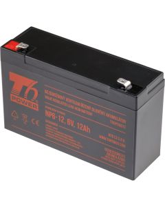 Akumulátor T6 Power NP6-12, 6V, 12Ah, F2