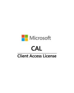 Fujitsu Win Server CAL 2025 (5 User)