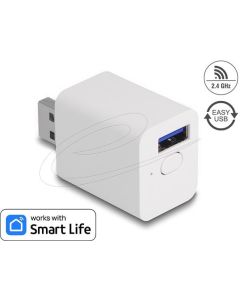 Delock WLAN EASY-USB Switch Smart Life