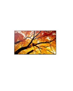 Sharp 75"  MultiSync M752- 24/7, 550 cd, IPS LED, 3840x2160, 16:9, 8ms, 8000:1,  DP, 2x HDMI, USB