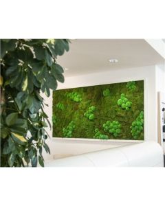 Mechový obraz 200 x 120 cm - dřevěný rám