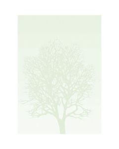 Diplom A4 - motiv stromu, 100 g/m2, 50 ks