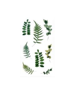 Dekorativní samolepky - Kapradí a eukalyptus,38 ks