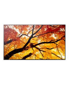65" LED SHARP M652,3840x2160,IPS,24/7,550cd