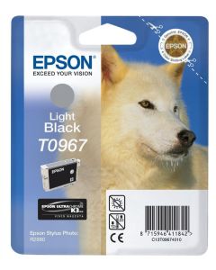 Epson inkoustová náplň/ C13T09674010/ Stylus 2880/ Světlá Černá