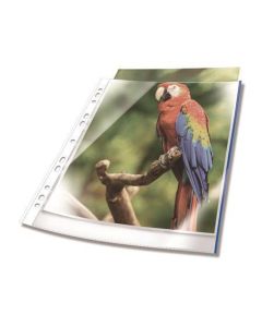 Euroobal "PREMIUM", transparentní, s modrým okrajem, A4, PP, 80 mikronů, 10 ks, DURABLE 265406