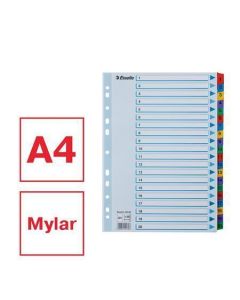 Zesílené rejstříky "Mylar", mix barev, karton, A4, 1-20, ESSELTE