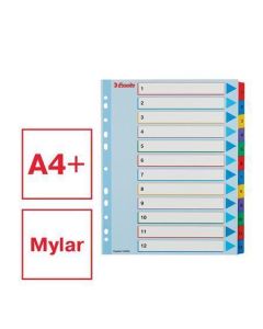 Zesílené rejstříky "Standard", popisovatelná titulní str., mix barev, karton, A4 Maxi, 1-12,