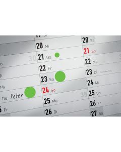 Avery Zweckform etikety 19mm, světle zelené, 250 etiket, značkovací, 3855, pro ruční popis