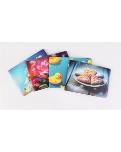 Pouzdro na průkazy, dívčí, 6 listů, horizontální, PVC
