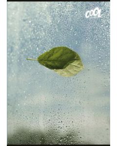 Sešit "Green Calm", mix motivů, A4, čistý, 80 listů, COOL BY VICTORIA