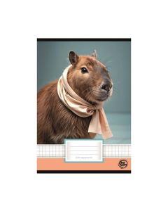 Sešit "Capybara", 27-32, A5, čtverečkovaný, 32 listů, OPTISCHOOL 27I2732-022